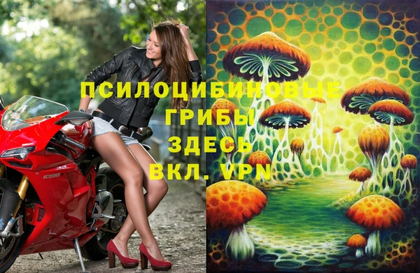 мдма Ладушкин